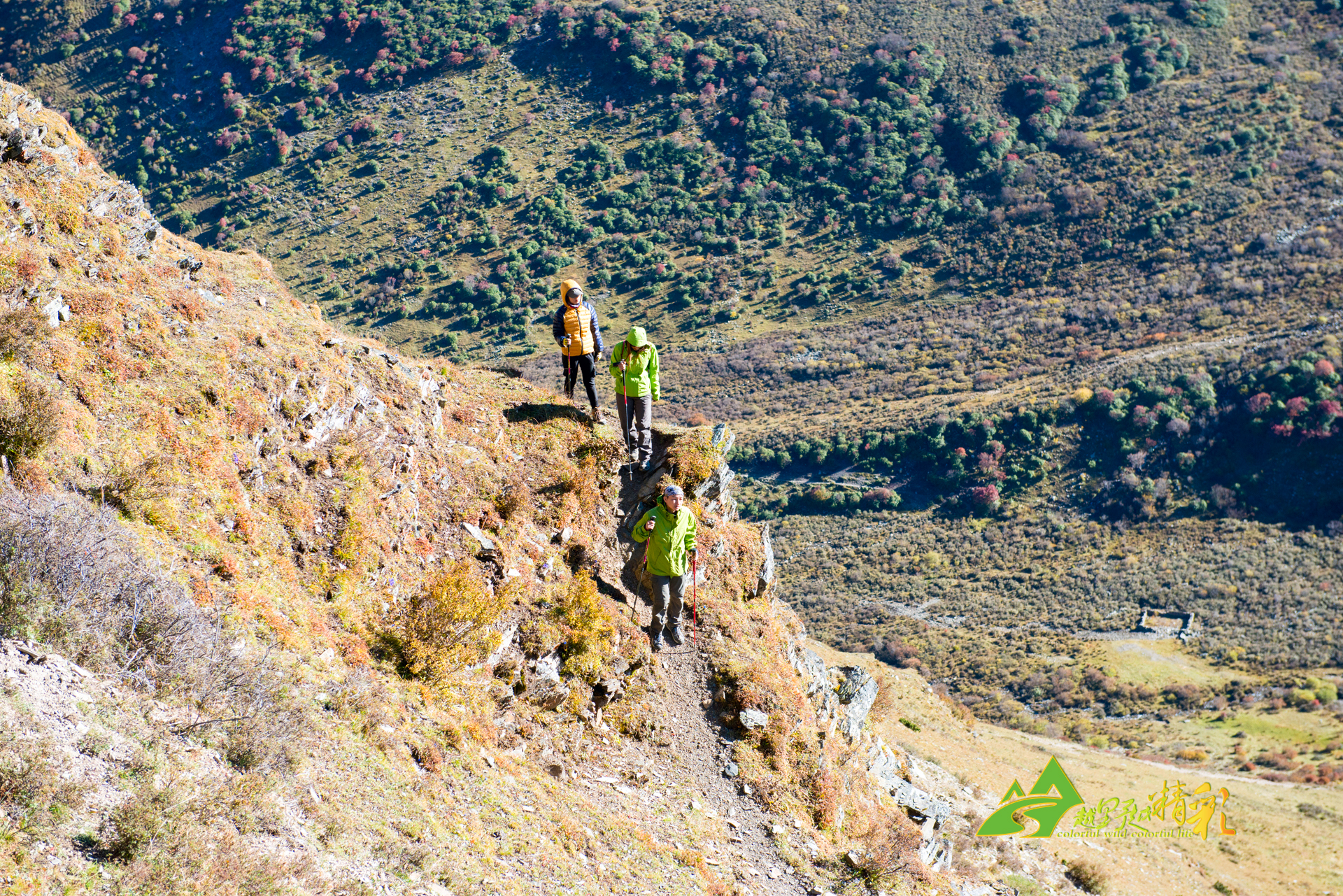 郑钦文晋级16强并确定下一轮对手和时间安排.
